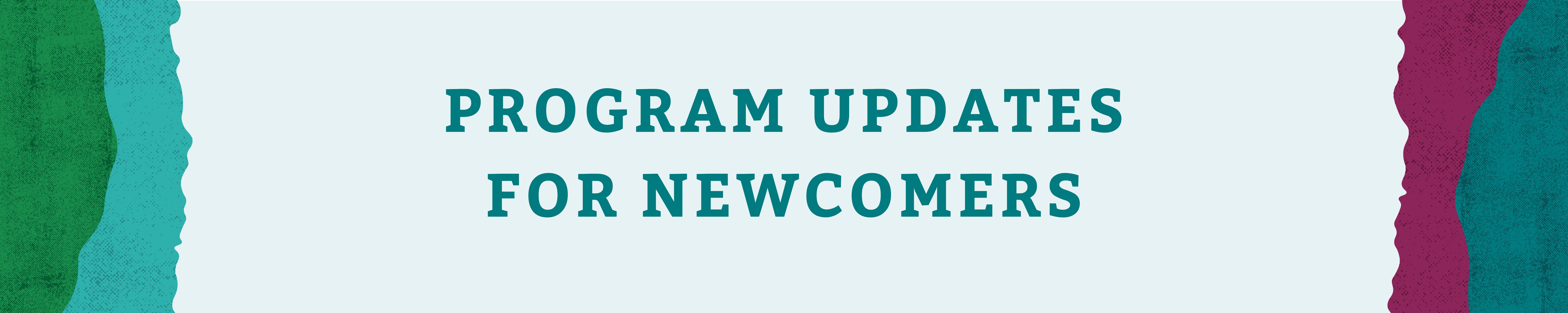 Newsflash Banners (30 x 6 in)